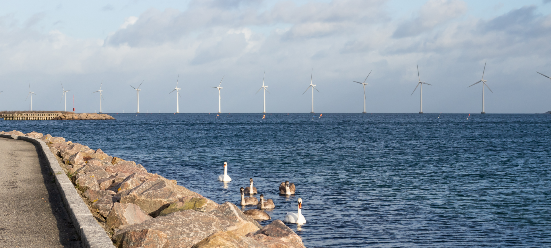 miljø og natur header
